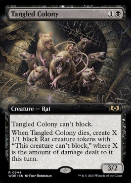 naokuroshop MTG [WOE][344][黒][R][EN][もつれる群体/Tangled Colony]（foil） NM