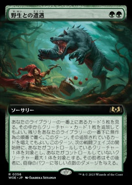 naokuroshop MTG [WOE][356][緑][R][JP][野生との遭遇/Feral Encounter]（foil） NM