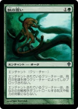 naokuroshop MTG [WWK][098][緑][U][JP][梢の覆い/Canopy Cover] NM