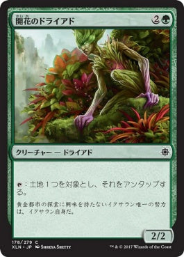 naokuroshop MTG [XLN][178][緑][C][JP][開花のドライアド/Blossom Dryad] NM