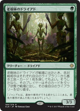 naokuroshop MTG [XLN][199][緑][R][JP][老樹林のドライアド/Old-Growth Dryads] NM