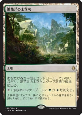 naokuroshop MTG [XLN][257][土地][R][JP][陽花弁の木立ち/Sunpetal Grove]（foil） NM