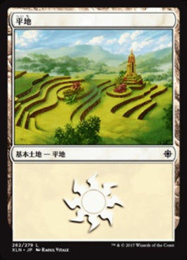 naokuroshop MTG [XLN][262][土地][C][JP][平地/Plains] NM