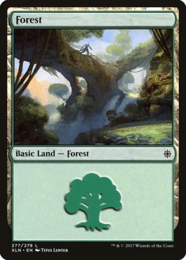 naokuroshop MTG [XLN][277][土地][C][EN][森/Forest] NM