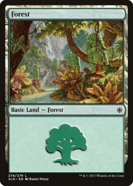 naokuroshop MTG [XLN][278][土地][C][EN][森/Forest] NM