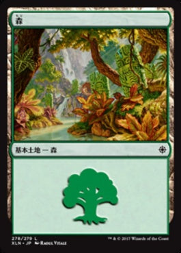 naokuroshop MTG [XLN][278][土地][C][JP][森/Forest] NM