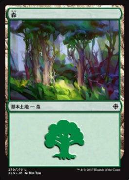 naokuroshop MTG [XLN][279][土地][C][JP][森/Forest] NM