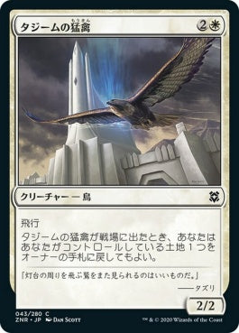 naokuroshop MTG [ZNR][043][白][C][JP][タジームの猛禽/Tazeem Raptor] NM