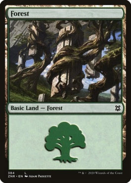 naokuroshop MTG [ZNR][384][土地][C][EN][森/Forest] NM