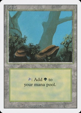 naokuroshop MTG [3ED][304][土地][C][EN][Forest] NM