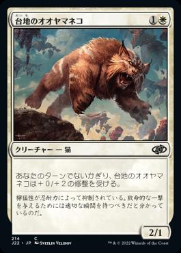 naokuroshop MTG [J22][214][白][C][JP][台地のオオヤマネコ/Mesa Lynx] NM