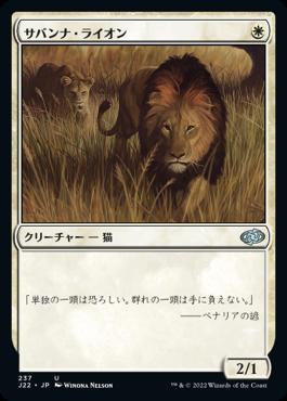 naokuroshop MTG [J22][237][白][U][JP][サバンナ・ライオン/Savannah Lions] NM