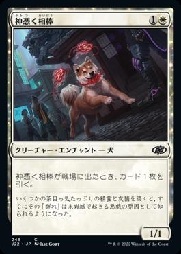 naokuroshop MTG [J22][248][白][C][JP][神憑く相棒/Spirited Companion] NM