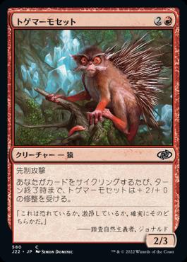 naokuroshop MTG [J22][580][赤][C][JP][トゲマーモセット/Prickly Marmoset] NM