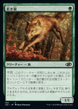 naokuroshop MTG [J22][746][緑][C][JP][若き狼/Young Wolf] NM