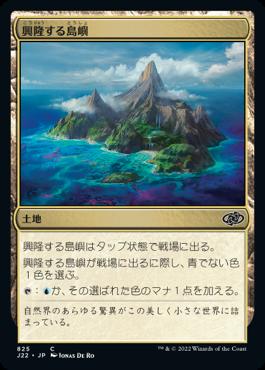 naokuroshop MTG [J22][825][土地][C][JP][興隆する島嶼/Thriving Isle] NM