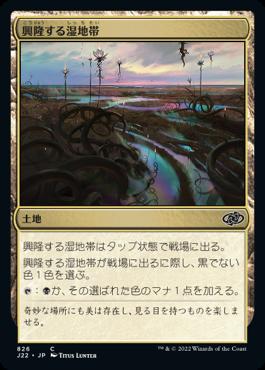 naokuroshop MTG [J22][826][土地][C][JP][興隆する湿地帯/Thriving Moor] NM