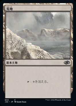 naokuroshop MTG [J22][834][土地][C][JP][荒地/Wastes] NM