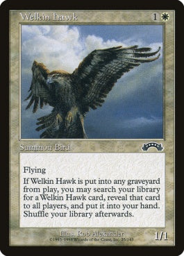 naokuroshop MTG [EXO][025][白][C][JP][天空の鷹/Welkin Hawk] NM