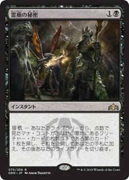 naokuroshop MTG [GRN][075][黒][R][JP][霊廟の秘密/Mausoleum Secrets] NM