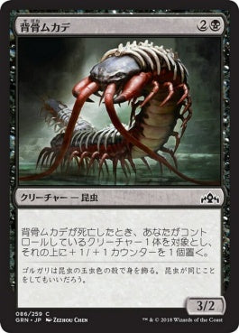 naokuroshop MTG [GRN][086][黒][C][JP][背骨ムカデ/Spinal Centipede] NM