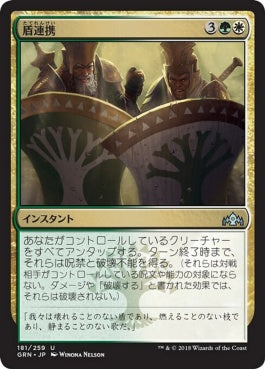 naokuroshop MTG [GRN][181][多][U][JP][盾連携/Join Shields] NM