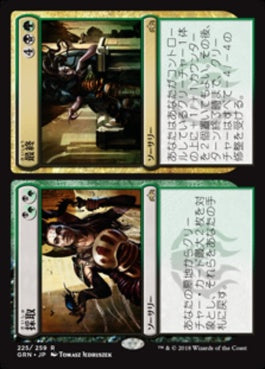 naokuroshop MTG [GRN][225][多][R][JP][採取_最終/Find_Finality] NM