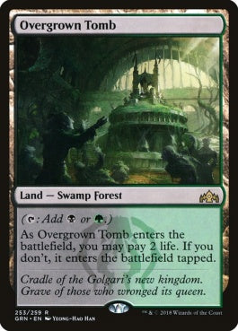 naokuroshop MTG [GRN][253][土地][R][EN][草むした墓/Overgrown Tomb] NM