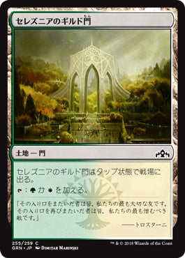 naokuroshop MTG [GRN][255][土地][C][JP][セレズニアのギルド門/Selesnya Guildgate] NM