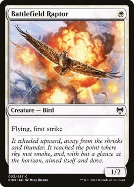 naokuroshop MTG [KHM][003][白][C][EN][戦場の猛禽/Battlefield Raptor] NM