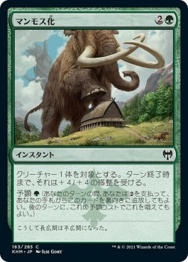 naokuroshop MTG [KHM][183][緑][C][JP][マンモス化/Mammoth Growth] NM