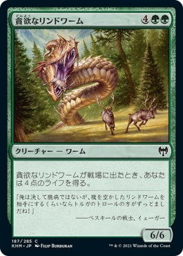 naokuroshop MTG [KHM][187][緑][C][JP][貪欲なリンドワーム/Ravenous Lindwurm] NM