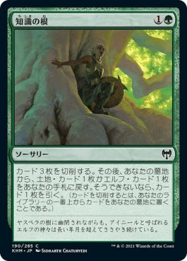 naokuroshop MTG [KHM][190][緑][C][JP][知識の根/Roots of Wisdom] NM