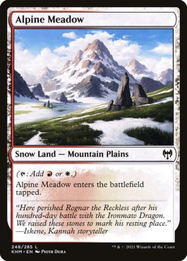 naokuroshop MTG [KHM][248][土地][C][EN][高山の草地/Alpine Meadow] NM