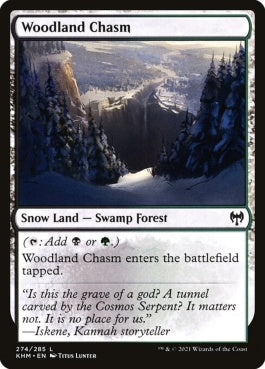 naokuroshop MTG [KHM][274][土地][C][EN][森林の地割れ/Woodland Chasm] NM