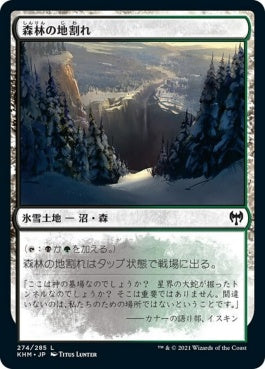 naokuroshop MTG [KHM][274][土地][C][JP][森林の地割れ/Woodland Chasm] NM