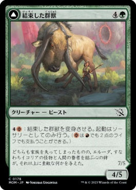 naokuroshop MTG [MOM][178][緑][C][JP][結束した群獣/Bonded Herdbeast] NM