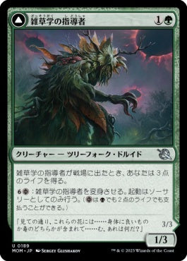 naokuroshop MTG [MOM][189][緑][U][JP][雑草学の指導者/Herbology Instructor] NM