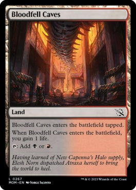 naokuroshop MTG [MOM][267][土地][C][EN][血溜まりの洞窟/Bloodfell Caves]（foil） NM