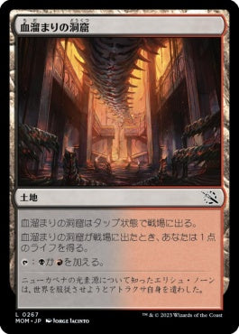 naokuroshop MTG [MOM][267][土地][C][JP][血溜まりの洞窟/Bloodfell Caves] NM