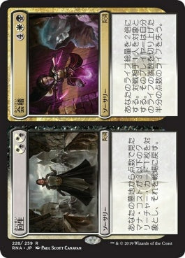 naokuroshop MTG [RNA][228][多][R][JP][回生_会稽/Revival_Revenge] NM