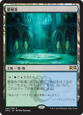 naokuroshop MTG [RNA][246][土地][R][JP][繁殖池/Breeding Pool] NM