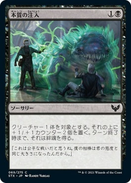 naokuroshop MTG [STX][069][黒][C][JP][本質の注入/Essence Infusion] NM