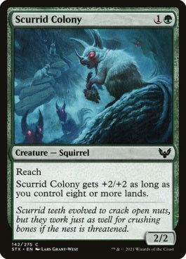 naokuroshop MTG [STX][142][緑][C][EN][スカーリドの群棲/Scurrid Colony] NM