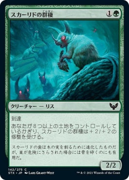 naokuroshop MTG [STX][142][緑][C][JP][スカーリドの群棲/Scurrid Colony] NM