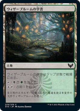 naokuroshop MTG [STX][275][土地][C][JP][ウィザーブルームの学舎/Witherbloom Campus] NM