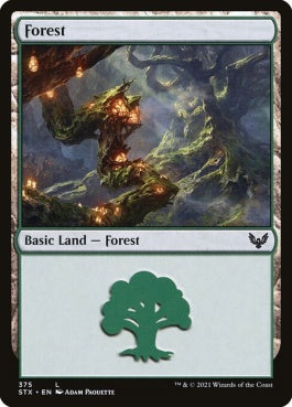 naokuroshop MTG [STX][375][土地][C][EN][森/Forest] NM