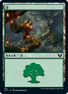 naokuroshop MTG [STX][375][土地][C][JP][森/Forest] NM