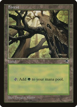 naokuroshop MTG [TMP][347][土地][C][JP][森/Forest] NM