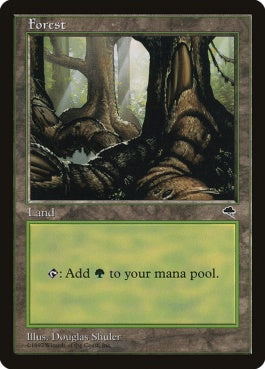 naokuroshop MTG [TMP][348][土地][C][JP][森/Forest] NM